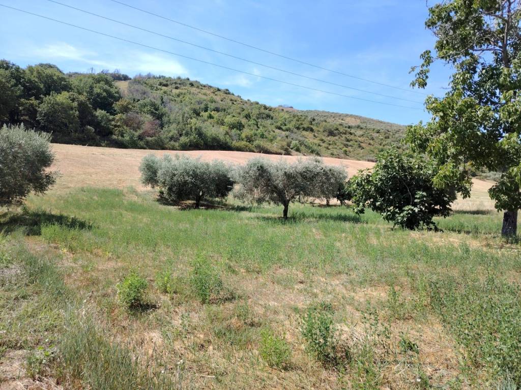 Terreno a Colonnella in Via Vallecupa - Foto 4