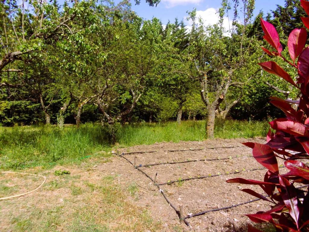 Villa a Potenza in Via Della Botte No Number - Foto 5
