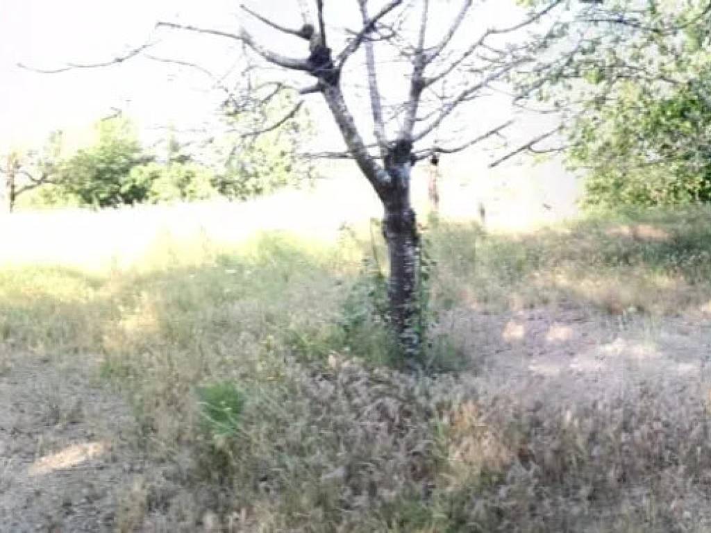 Terreno a Cardeto in Via Donna S.N.C. - Foto 3