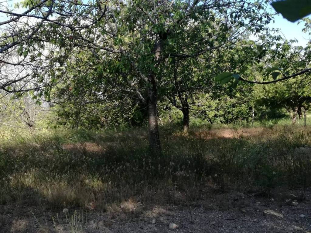 Terreno a Cardeto in Via Donna S.N.C. - Foto 4