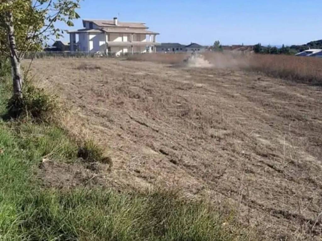 Terreno a Gissi in Via Colle Pizzuto - Foto 2