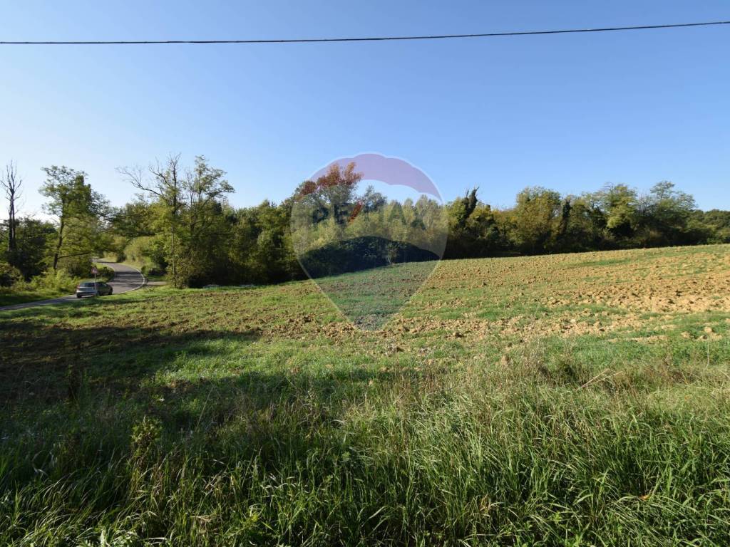 Terreno a Sala baganza in strada del cossano, 6 - Foto 2