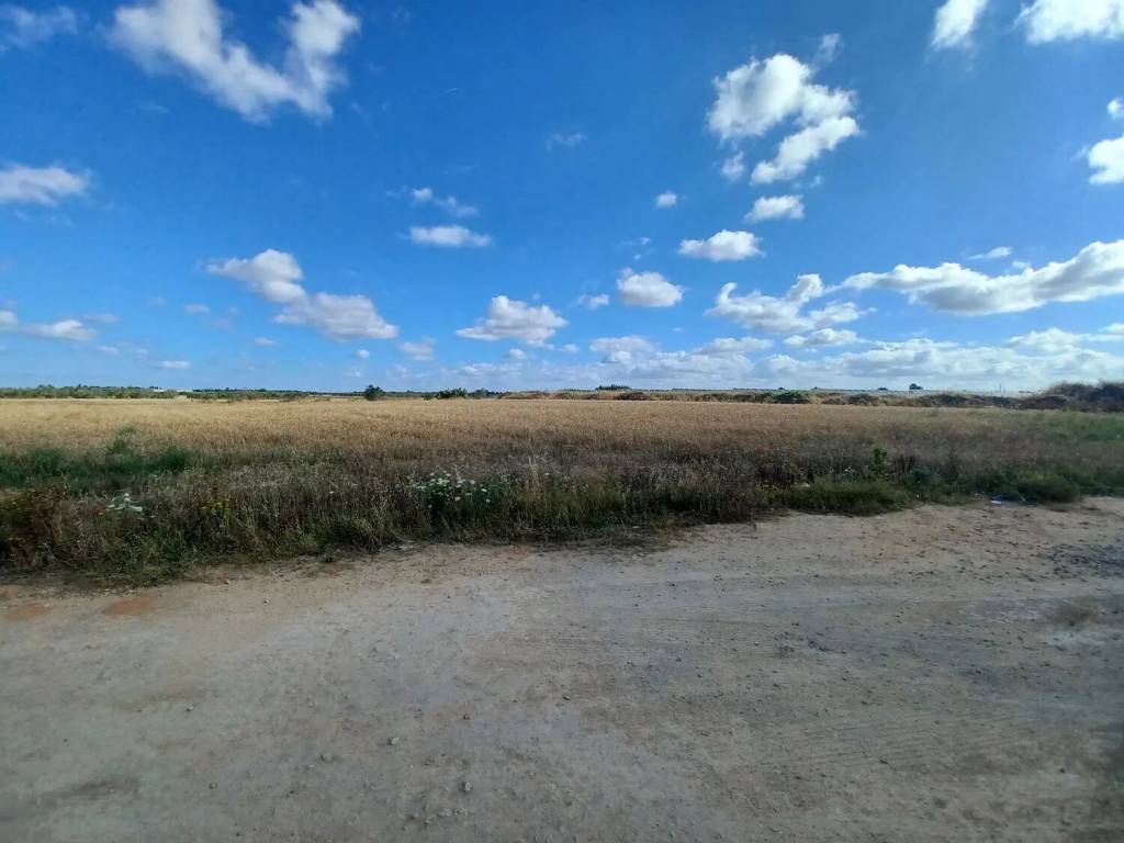 Terreno a Nardò in Via Xx Settembre No Number - Foto 4
