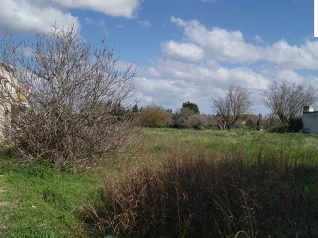 Terreno a Nardò in Via Luisa Sanfelice No Number - Foto 2