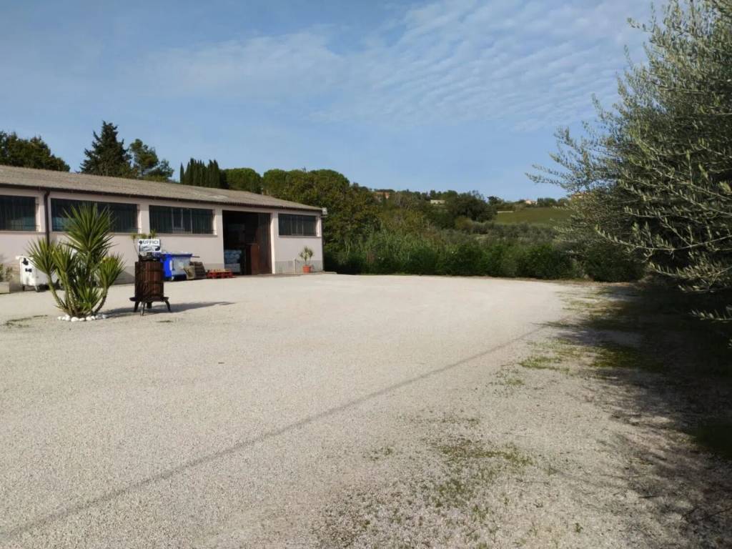 Immobile a Civitanova marche in Via Fonte Giulia No Number - Foto 5