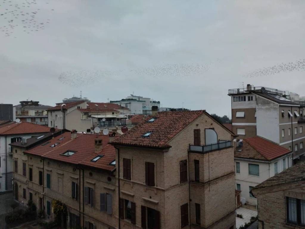 Appartamento a Civitanova marche in Via Giuseppe Mazzini S.N.C. - Foto 2
