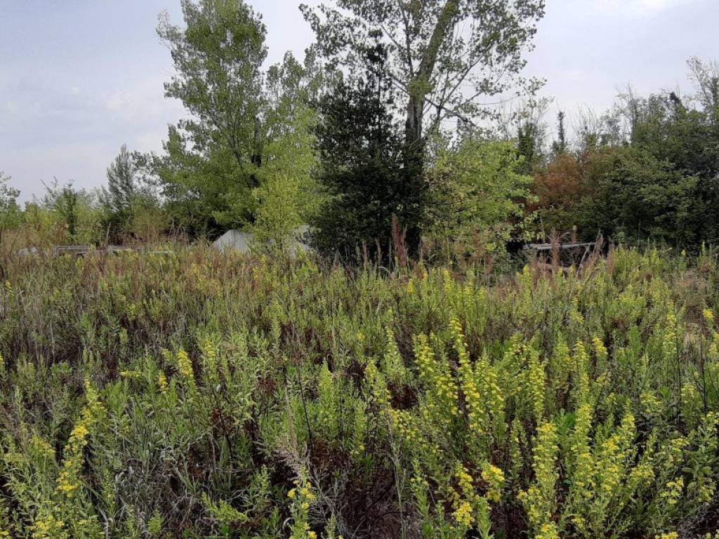 Terreno a Chieti in parco piaggio - Foto 2