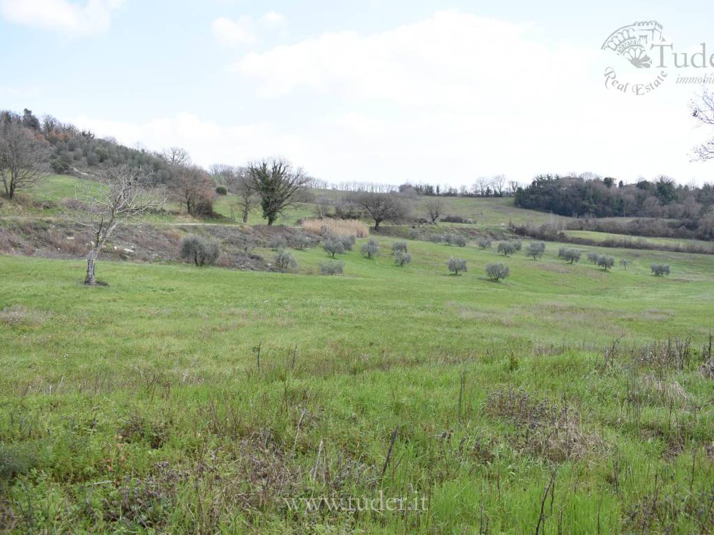 Rustico / casale a Todi in Vocabolo Palazetta-Cordigliano - Foto 4