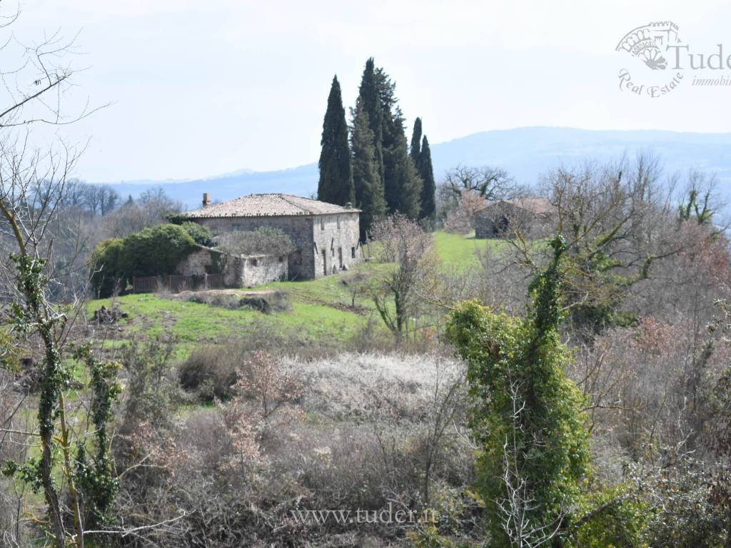 Rustico / casale a Todi in Vocabolo Palazetta-Cordigliano - Foto 5