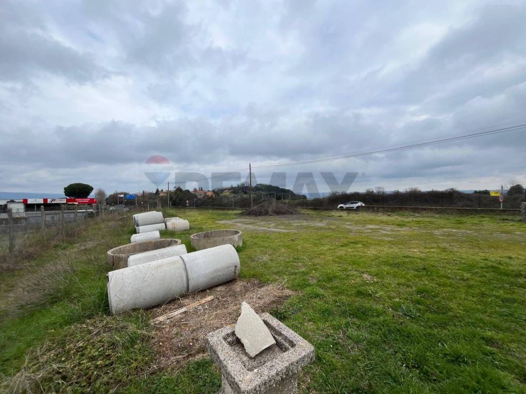 Terreno a Marta in Strada Verentana Km 12 - Foto 4