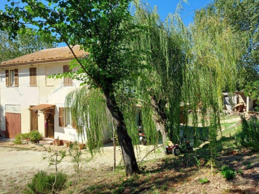 Rustico / casale a Ostra in Via San Martino, 1 - Foto 3