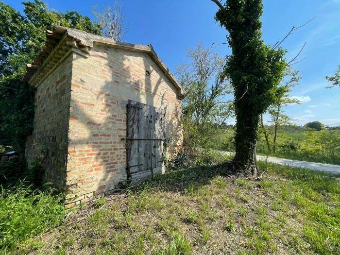 Rustico / casale a Ostra - Foto 4