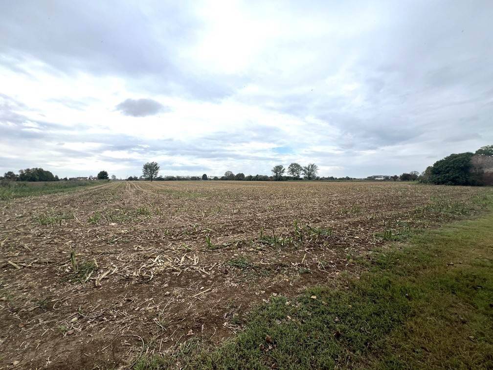 Terreno a Roncoferraro - Foto 2