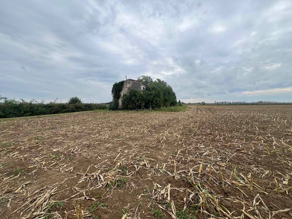 Terreno a Roncoferraro - Foto 4