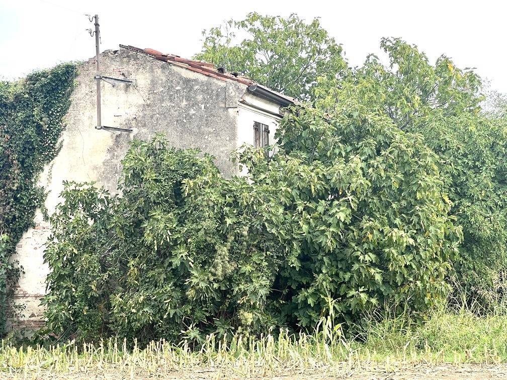 Terreno a Roncoferraro - Foto 5