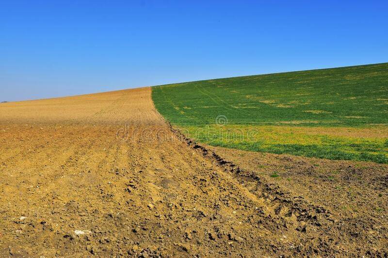 Terreno a Peccioli - Foto 3
