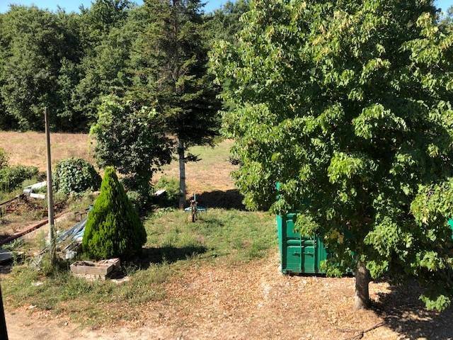 Rustico / casale a Peccioli - Foto 3