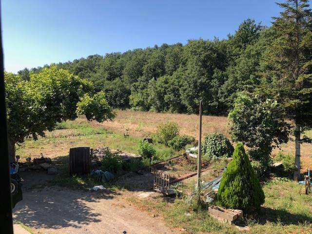 Rustico / casale a Peccioli - Foto 4