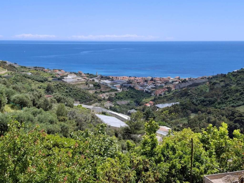 Terreno a Castellaro in poggio - Foto 2