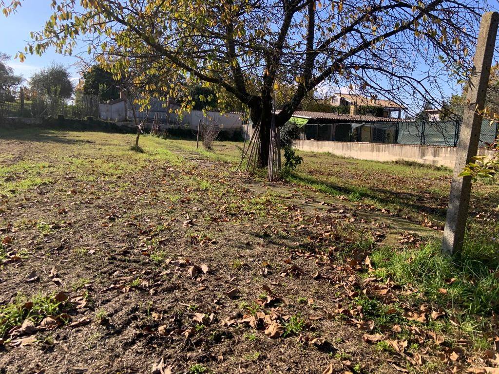 Villa a Palestrina in Via Folcarotonda - Foto 3