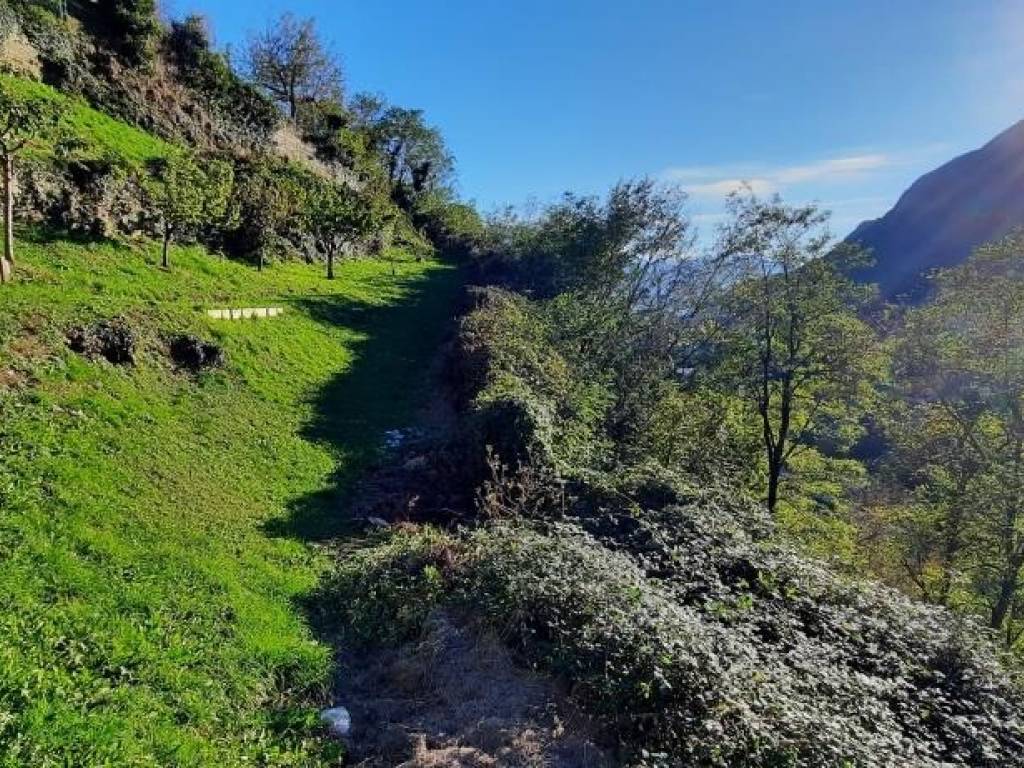 Terreno a Cedegolo in Via Dosina, 17 - Foto 4