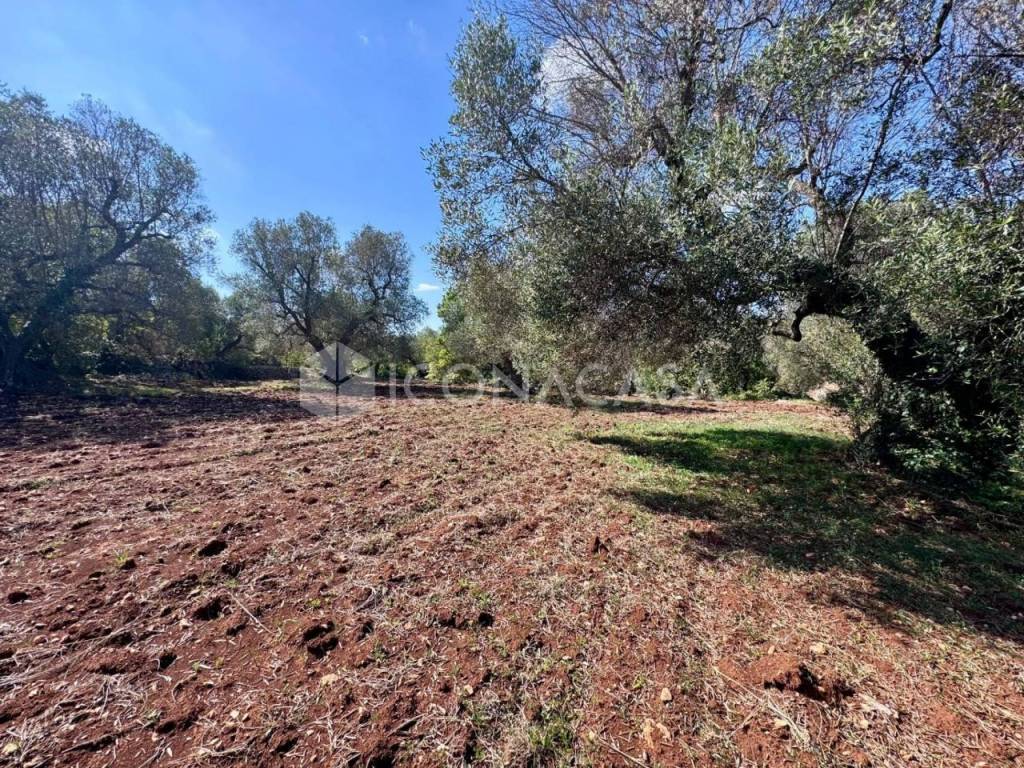 Villa a Ostuni in Contrada Pezza di Ferro - Foto 2