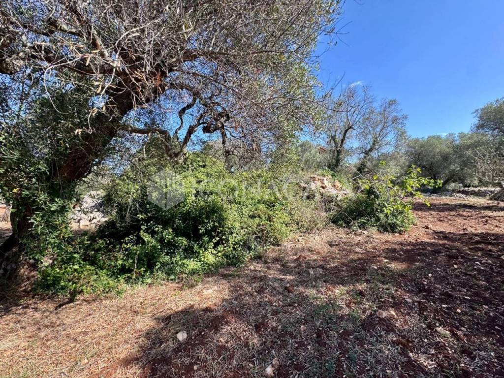 Villa a Ostuni in Contrada Pezza di Ferro - Foto 3
