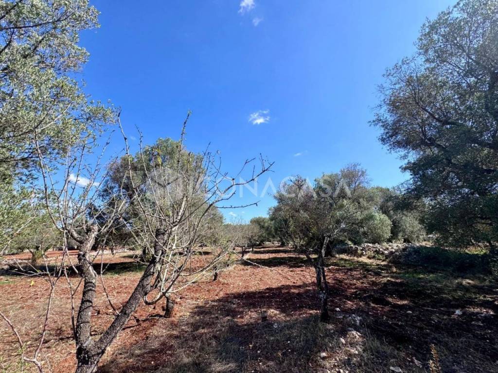 Villa a Ostuni in Contrada Pezza di Ferro - Foto 4