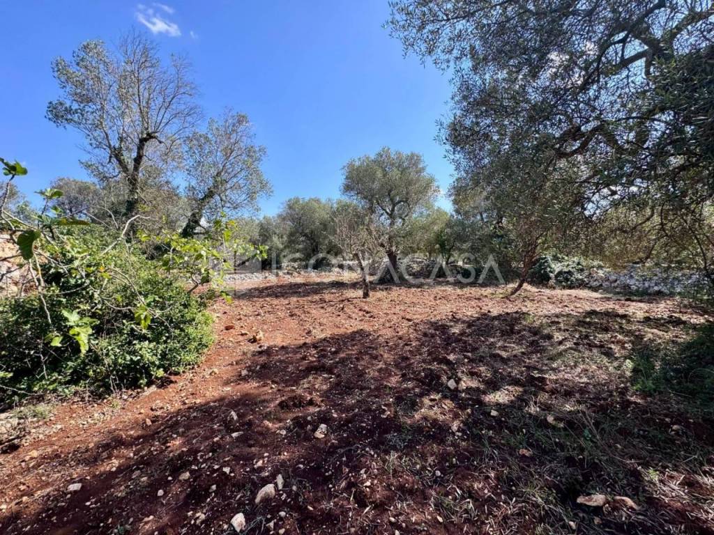 Villa a Ostuni in Contrada Pezza di Ferro - Foto 5