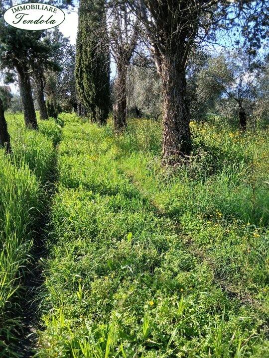 Rustico / casale a Sarzana - Foto 3