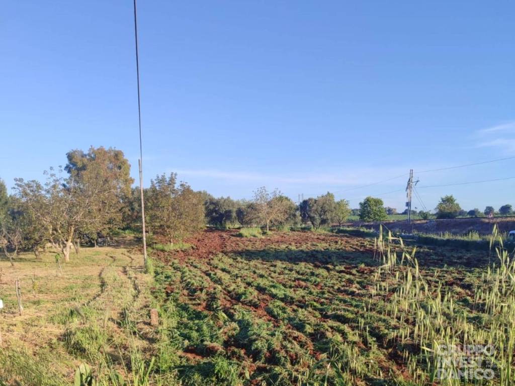 Terreno a Cisternino in Strada Provinciale 16 - Foto 2