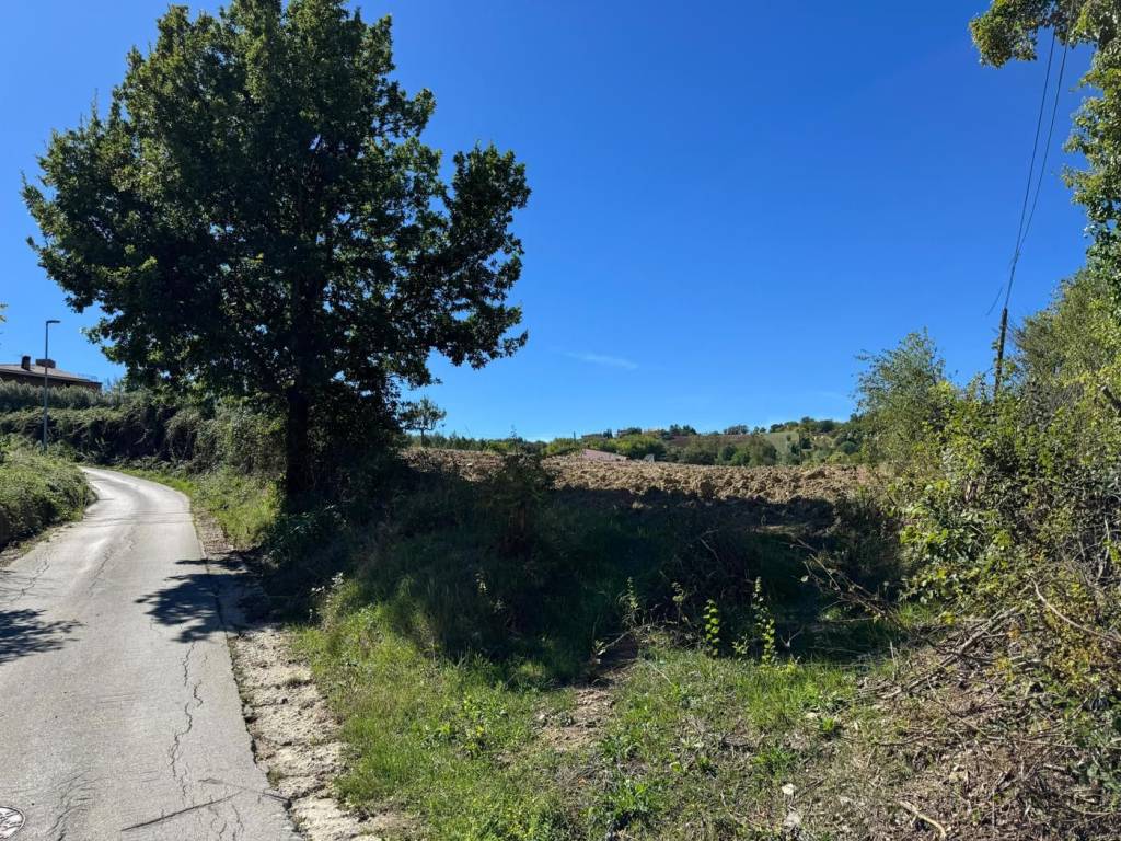 Terreno a Campobasso in c.da Colle Longo, snc - Foto 3