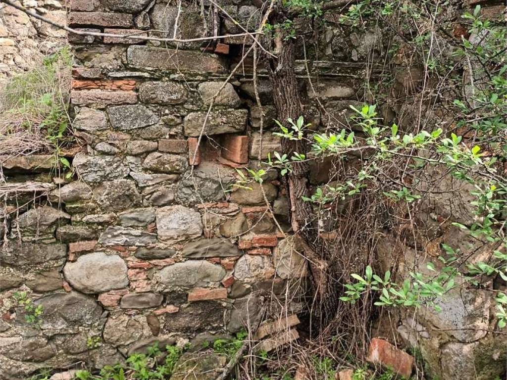 Rustico / casale a Cinigiano in Podere Pelacane, 1 - Foto 2