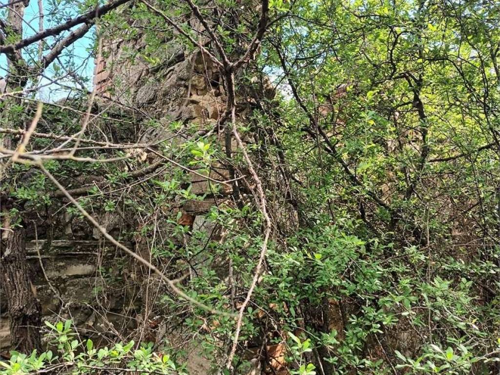 Rustico / casale a Cinigiano in Podere Pelacane, 1 - Foto 3