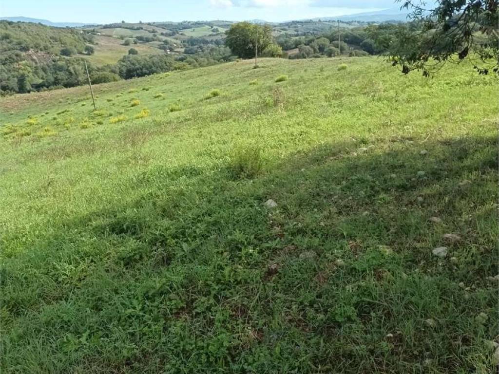 Rustico / casale a Cinigiano in Podere Pelacane, 1 - Foto 4