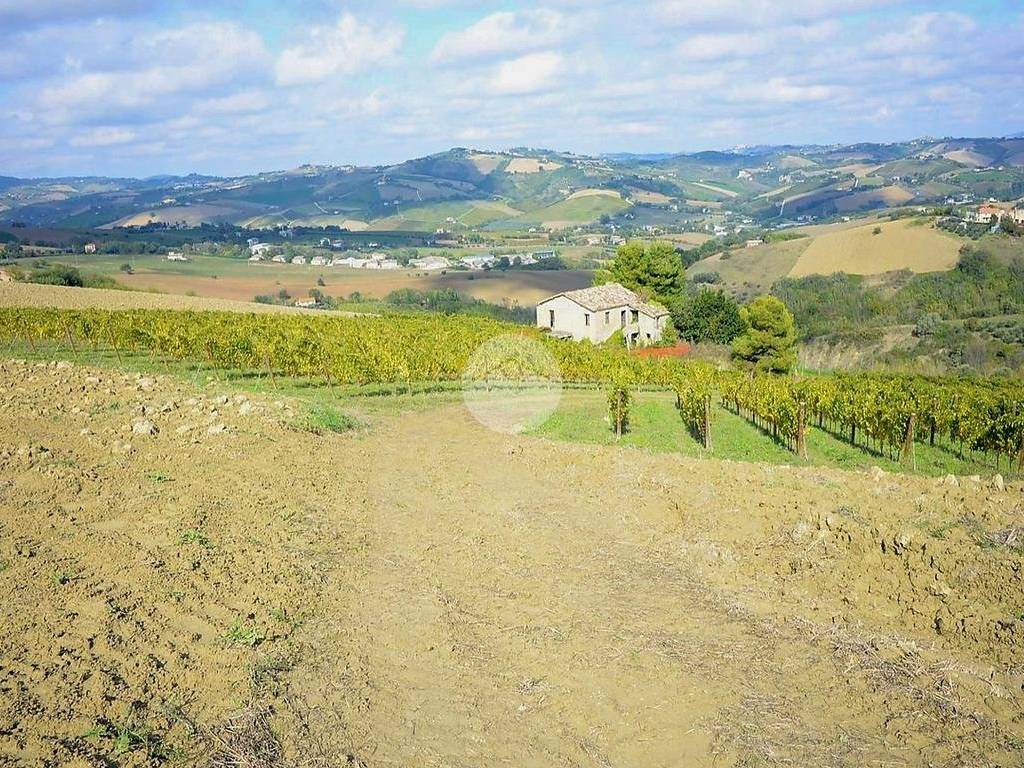 Rustico / casale a Offida in Contrada Tesino - Foto 3