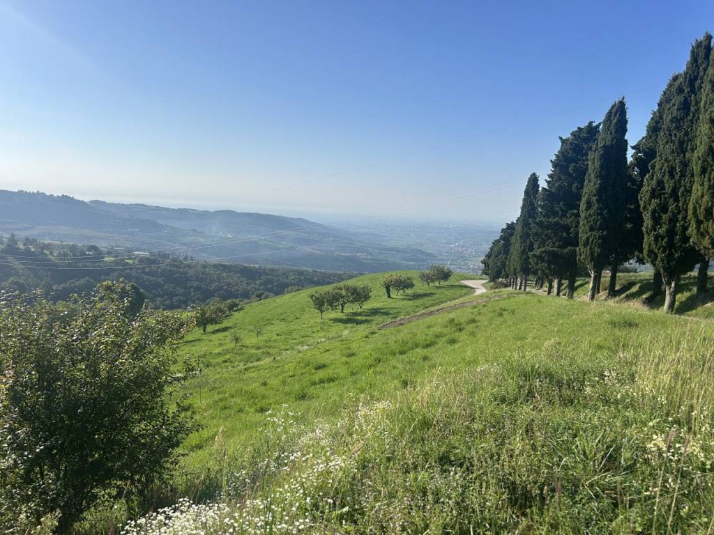 Terreno a Grezzana in Via Monte Tregnago di Rosaro - Foto 3