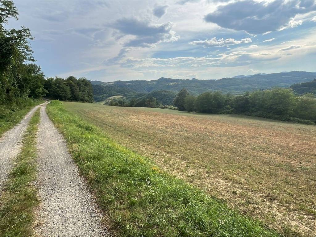 Terreno a Pianoro in Via di Lugolo, 2 - Foto 2