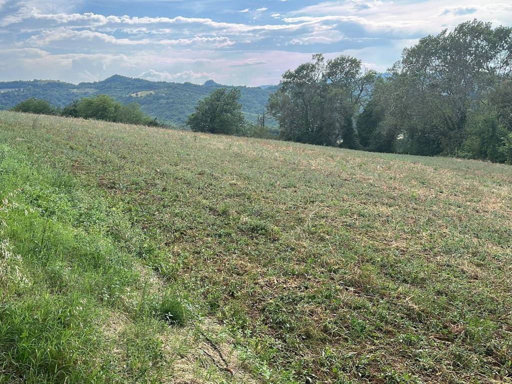 Terreno a Pianoro in Via di Lugolo, 2 - Foto 3