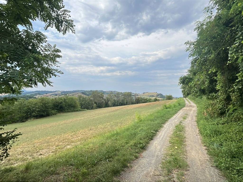 Terreno a Pianoro in Via di Lugolo, 2 - Foto 5