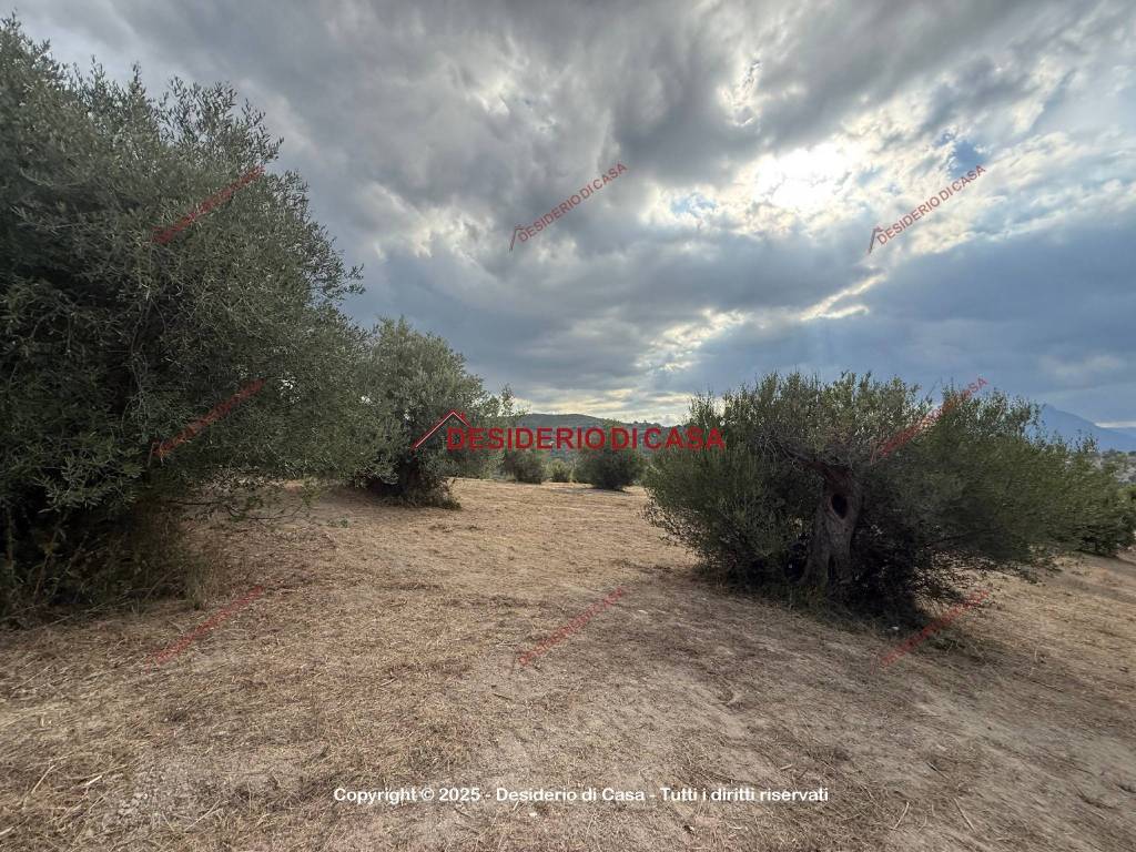 Terreno a Collesano in Strada Provinciale delle Madonie - Foto 2