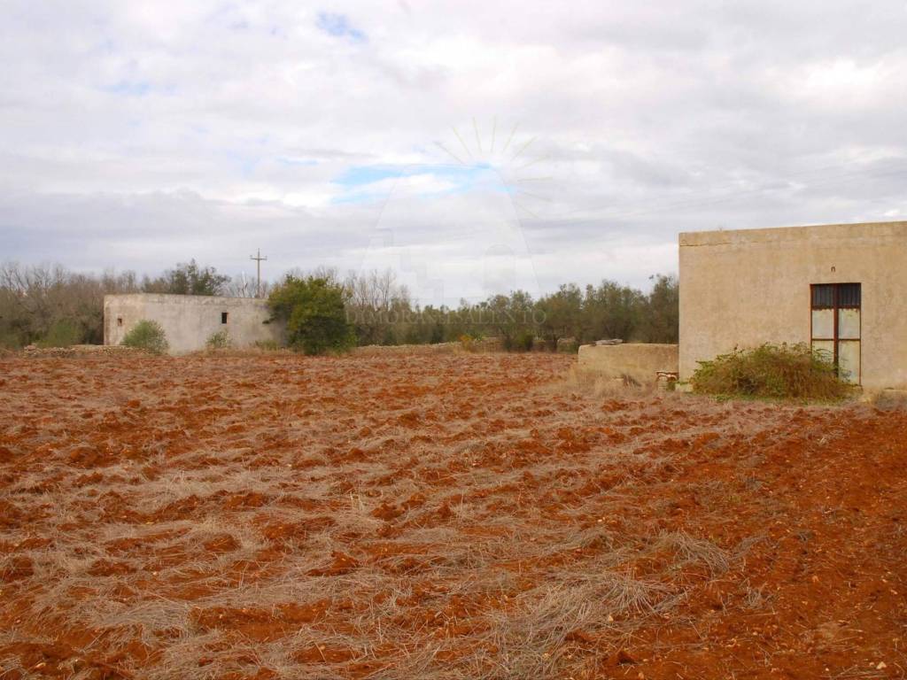 Terreno a Alessano in Strada Vicinale Matine Tagliate - Foto 2