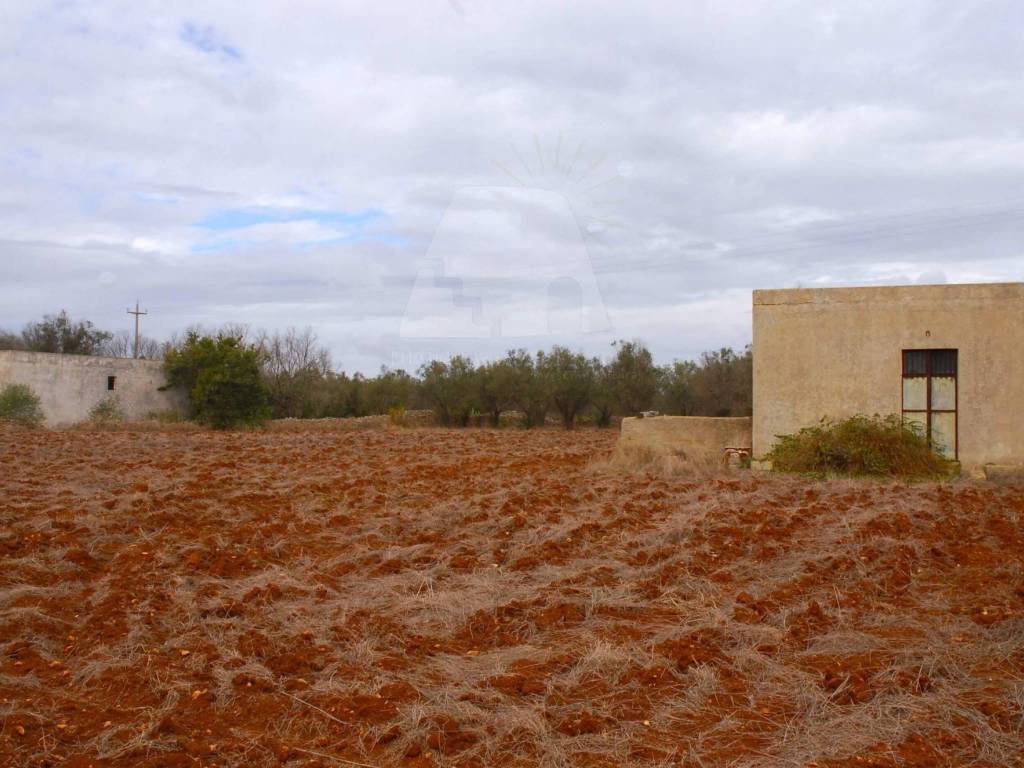 Terreno a Alessano in Strada Vicinale Matine Tagliate - Foto 3