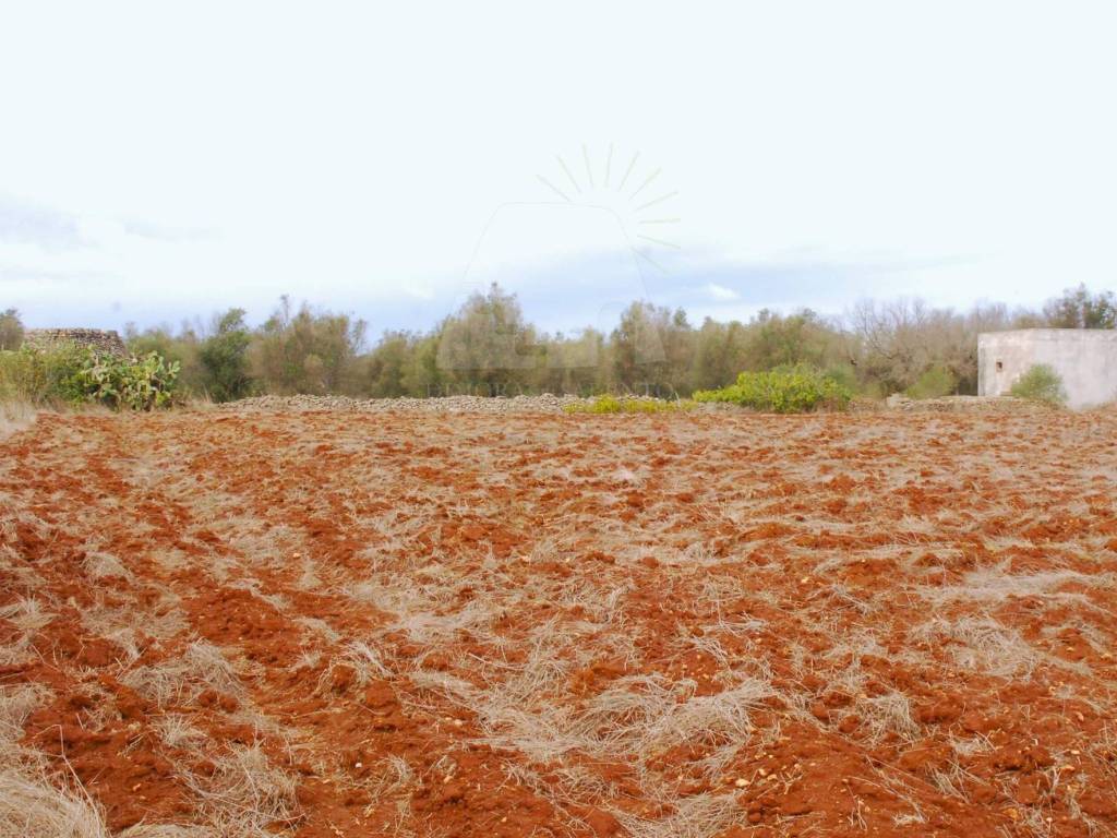 Terreno a Alessano in Strada Vicinale Matine Tagliate - Foto 4