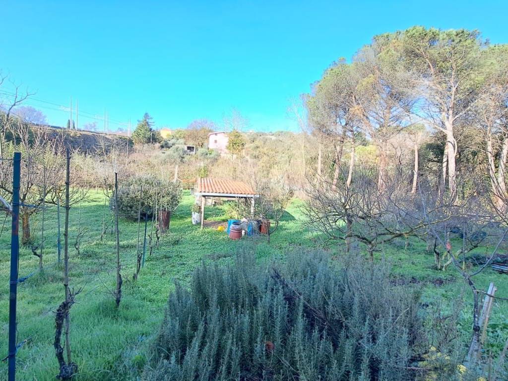 Terreno a Lanuvio in Via Marcello Servadio - Foto 2
