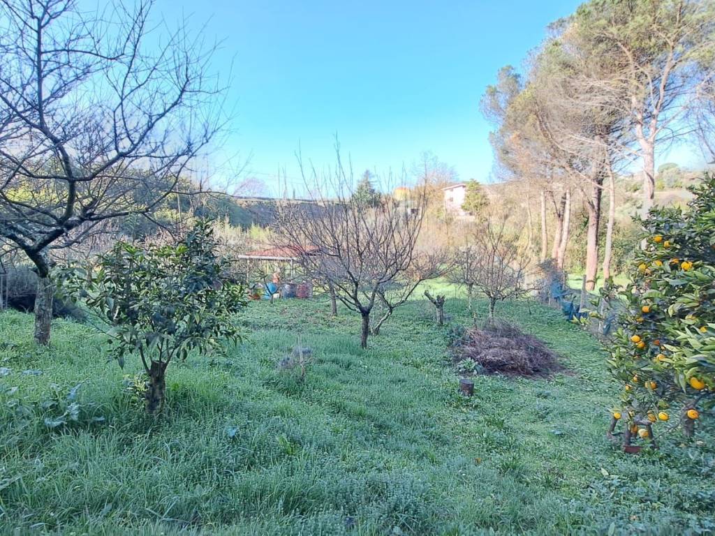 Terreno a Lanuvio in Via Marcello Servadio - Foto 3