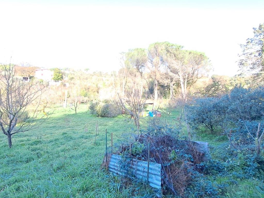 Terreno a Lanuvio in Via Marcello Servadio - Foto 5
