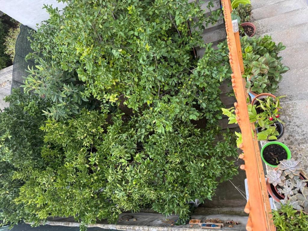 Casa indipendente a Valderice - Foto 4