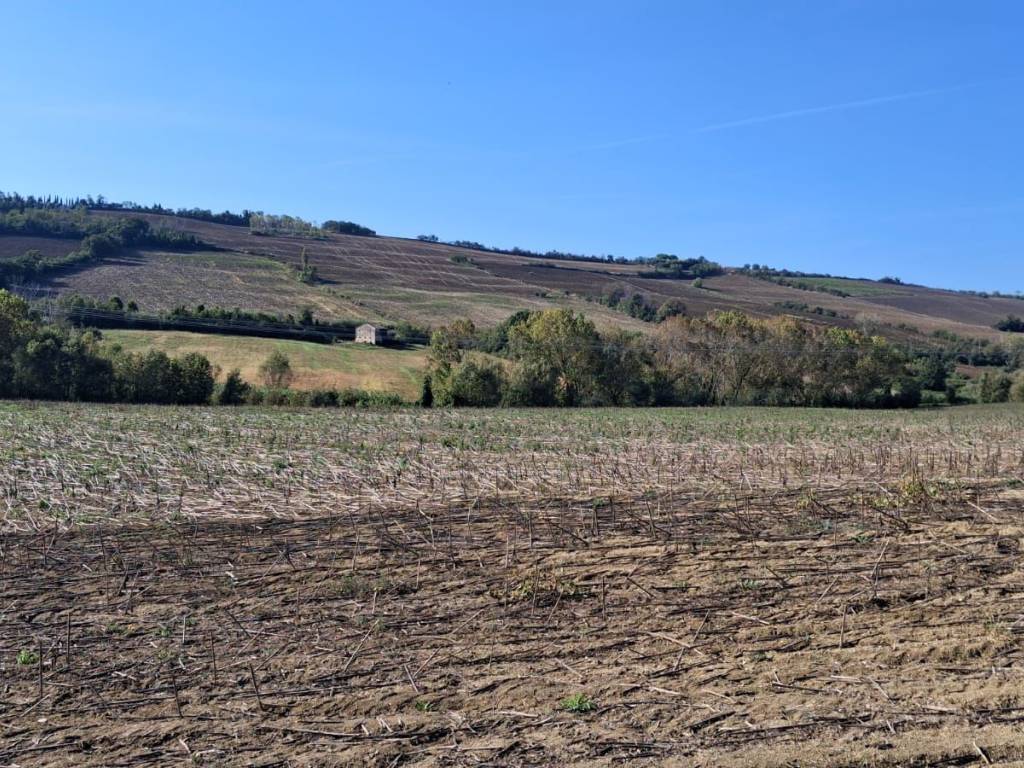 Rustico / casale a San costanzo in Strada del Rio Grande - Foto 3