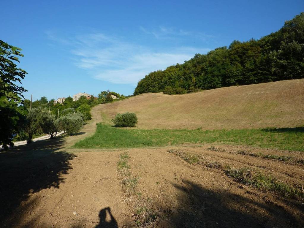 Terreno a Ripatransone - Foto 2